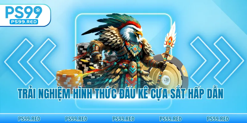 Trải nghiệm hình thức đấu kê cựa sắt hấp dẫn